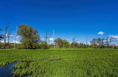Berlin kuzeyde bir doğa rezerv içinde korunan Biostop  