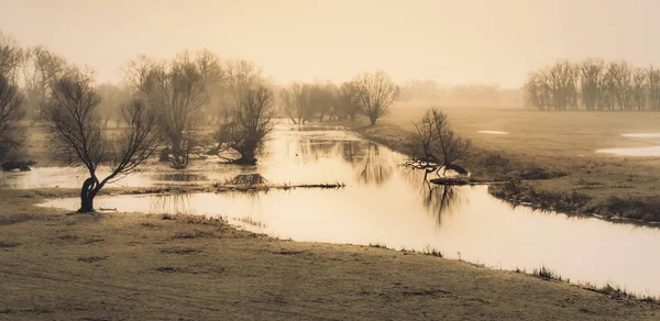 Paysage fluvial de l'Elbe dans la brume matinale de l'automne — Photo