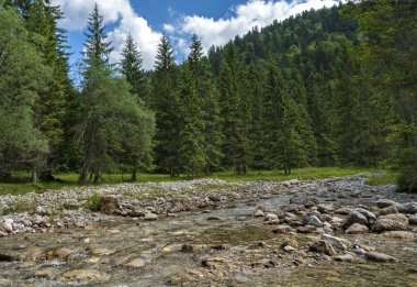 Küçük Brook Bavyera Highlands  