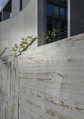 Dikenli telli ahşap çit  