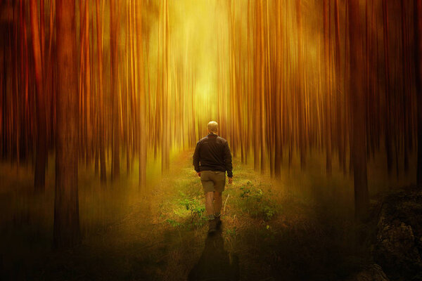 Composing a man who wanders in the forest