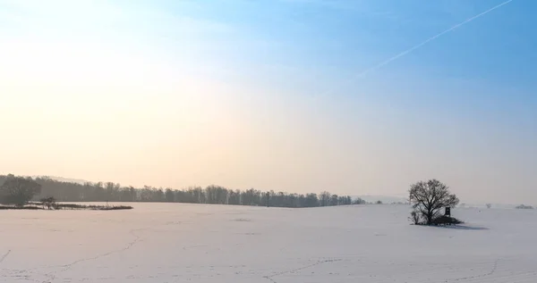 Winterlandschaft auf der Insel Rgen — Stockfoto