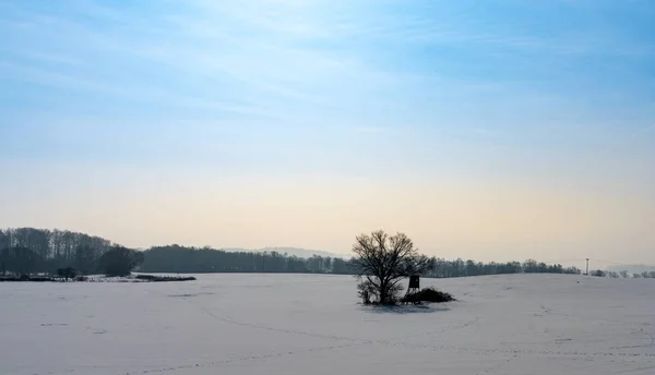 Winterlandschaft — Foto Stock