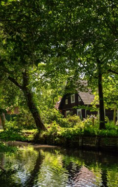 Brandenburg eyaletinin Spreewald su kanalda evinde