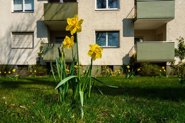 Residential and tenement house in Berlin — Stock Photo, Image