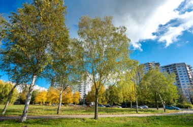 Berlin Reinickendorf, Almanya 'daki Mrkisches Viertel' deki gökdelenler ve daireler
