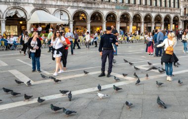 tauben benim markusplatz