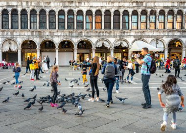Tauben auf dem Markusplatz