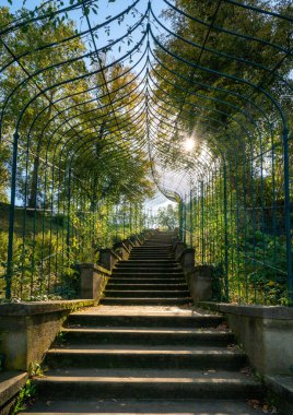 Treppe im Park Babelsberg