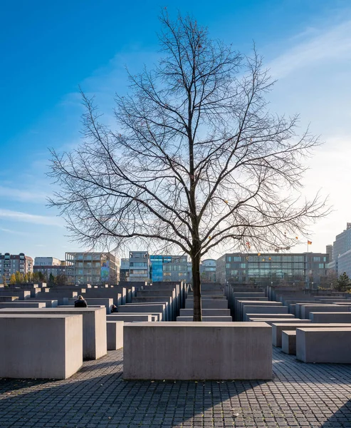 Berlin, Alemanha, as estelas no memorial do holocausto de Berlim para os judeus assassinados na Segunda Guerra Mundial — Fotografia de Stock