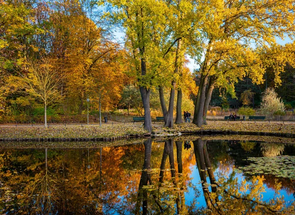 Berlin Tiergarten bölgesinin parkında sonbahar izlenimleri