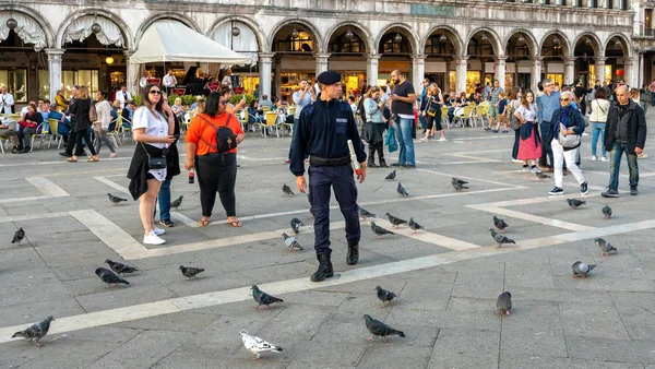 Tauben auf dem Markusplatz