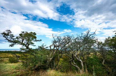 Kuzey Almanya 'nın düzlüklerinde gökyüzünde yağmur bulutları
