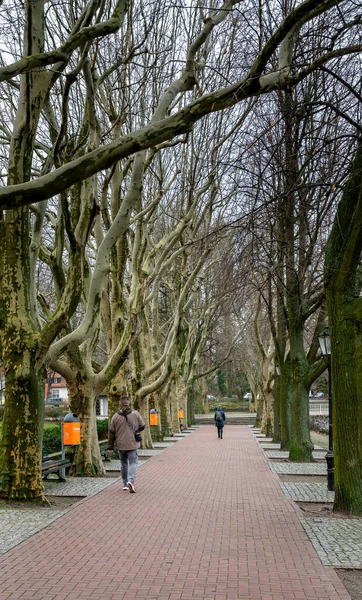 Červená Anglická Telefonní Budky Chodci Deštivém Počasí Promenádě Greenwich Berlin — Stock fotografie