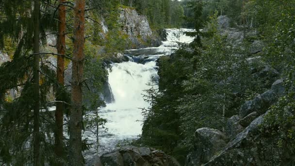 Cascada Kivach en Karelia, Rusia, Slo-Mo — Vídeos de Stock