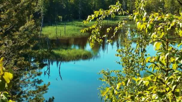 Calm Lake Landscape Upper View — Stock Video