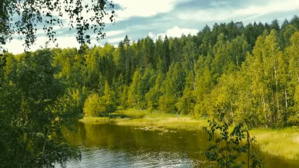 Paisaje de lago tranquilo Vista superior — Vídeos de Stock