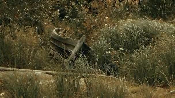 Old Wooden Boat in High Grass on a Lake Shore — Stock Video