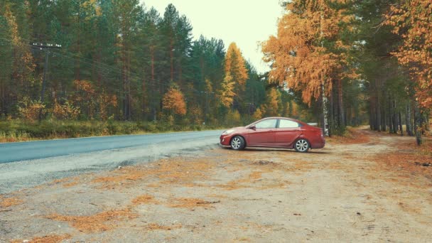 Voiture rouge au départ de la forêt — Video