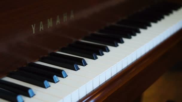 Eliseev'ın dükkanında St.petersburg kendi kendine piyano — Stok video