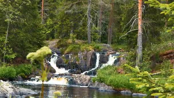 Forest Waterfall Low Angle Dolly Shot — Stock Video