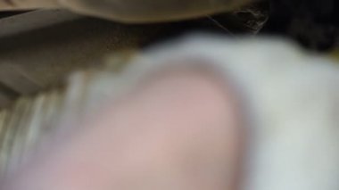 Araba tamiri - Motor yağı değiştirme