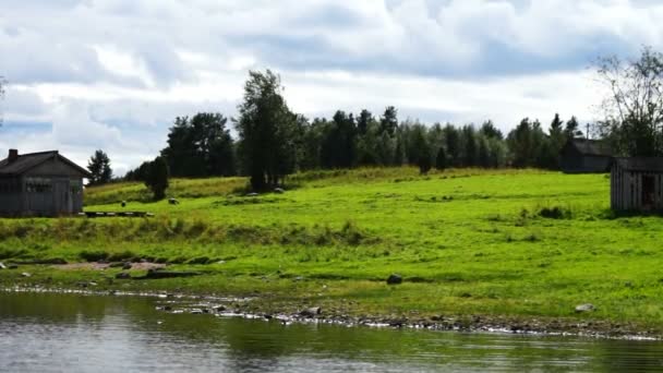 Orilla del lago Vodlozero en tiempo soleado — Vídeo de stock