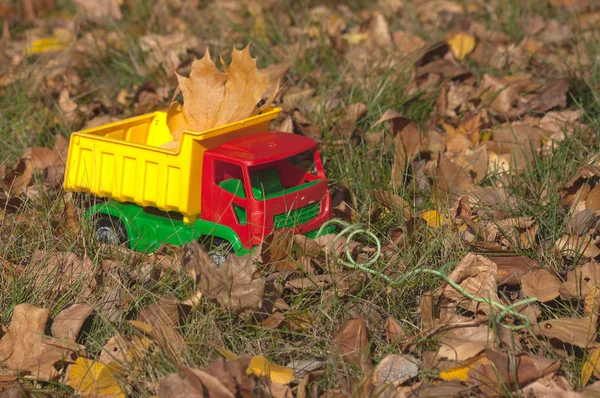 秋天的迹象--公园里一个被遗忘的玩具 — 图库照片