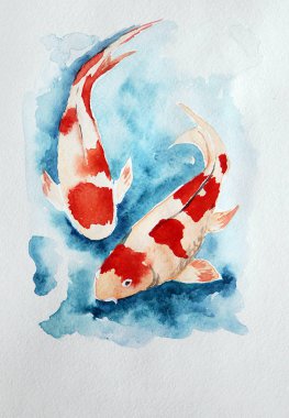 Suda iki sazan koi