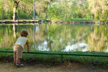 Küçük çocuk gölet plaj ve çevresindeki arıyorsunuz