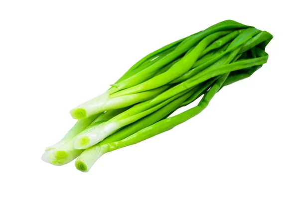 Ramo de cebolla verde —  Fotos de Stock