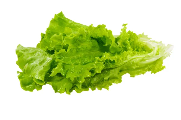 Salatblätter isoliert Stockfoto