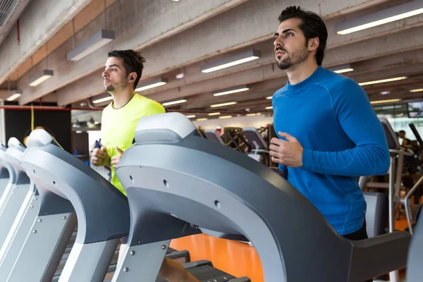 两个英俊的年轻男人做有氧运动训练在健身房. — 图库照片