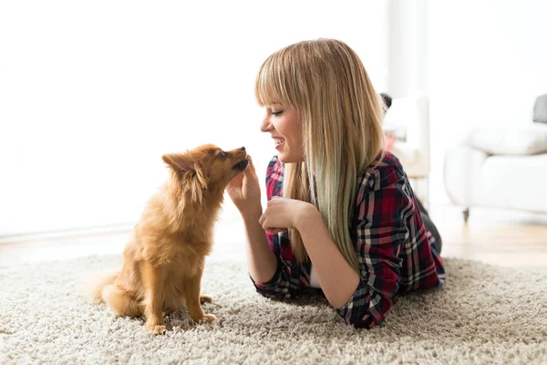 Gyönyörű fiatal nő kutyával játszik otthon. — Stock Fotó
