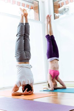 Evde yoga pratik güzel genç Çift.