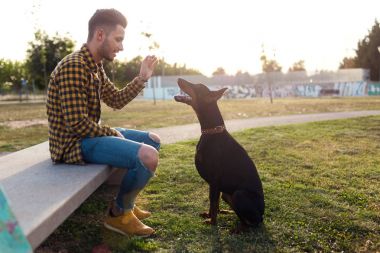 Parkta köpeğiyle oynayan yakışıklı genç.