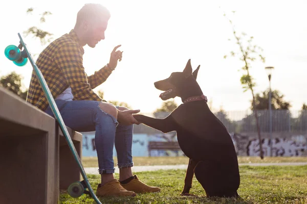 Pemuda tampan bermain dengan anjingnya di taman. . — Stok Foto