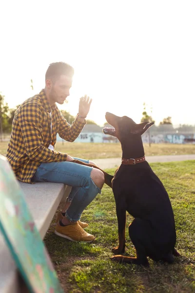 Csinos, fiatal férfi a kutyát a parkban játszó. — Stock Fotó