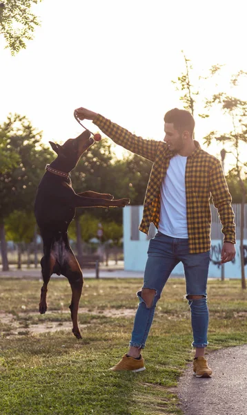 Flot ung mand leger med sin hund i parken . - Stock-foto