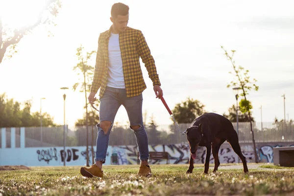 Flot ung mand med sin hund gående i parken . - Stock-foto