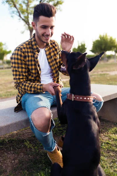 ชายหนุ่มหล่อเล่นกับสุนัขของเขาในสวนสาธารณะ . — ภาพถ่ายสต็อก