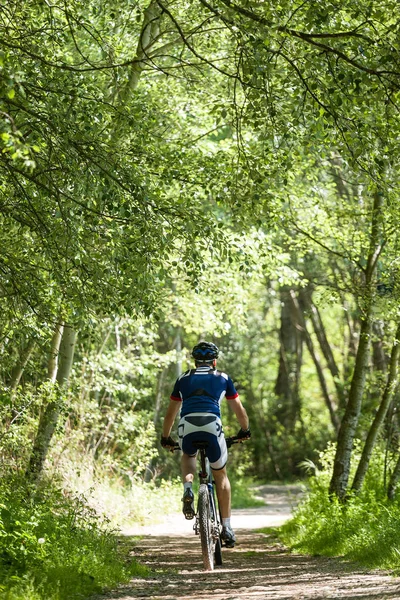 Knappe jongeman fietsen in de bergen. — Stockfoto