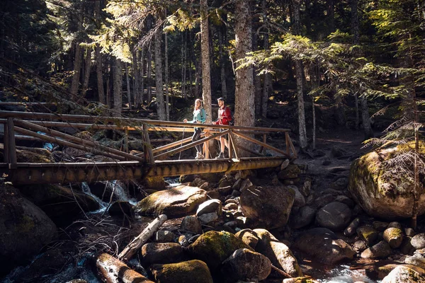 Dos excursionistas con mochila caminando sobre el puente de madera mientras miran el paisaje en el bosque . — Foto de Stock