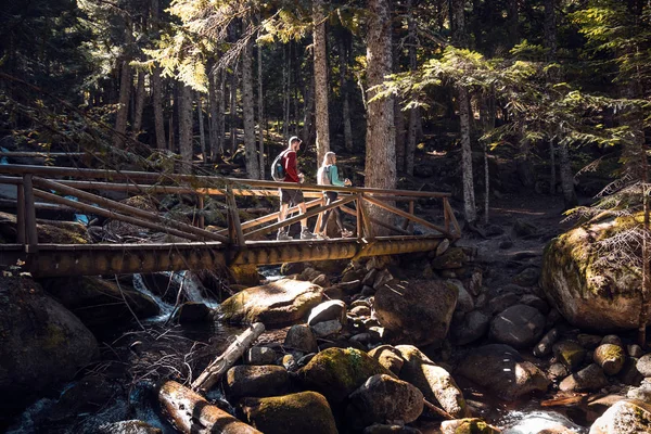 Due escursionisti di viaggio con zaino a piedi sul ponte di legno guardando il paesaggio nella foresta . — Foto Stock