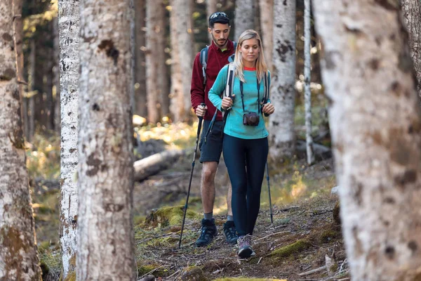 Dois caminhantes de viagem com mochila andando enquanto olha a paisagem na floresta . — Fotografia de Stock