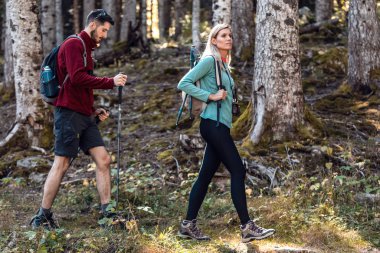 Ormandaki manzaraya bakarken sırt çantasıyla yürüyen iki gezgin..