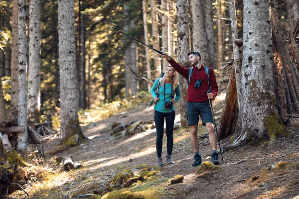 Två vandrare med ryggsäck promenader medan man pekar något i landskapet i skogen. — Stockfoto