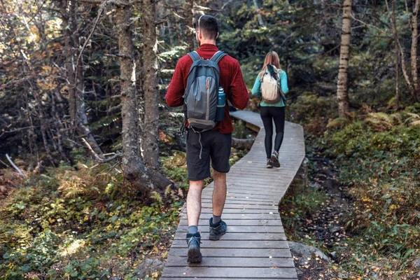 Dos excursionistas con mochila caminando mientras miran el paisaje en el bosque. Vista trasera . — Foto de Stock