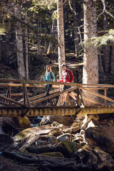 Dos excursionistas con mochila caminando sobre el puente de madera mientras miran el paisaje en el bosque . — Foto de Stock