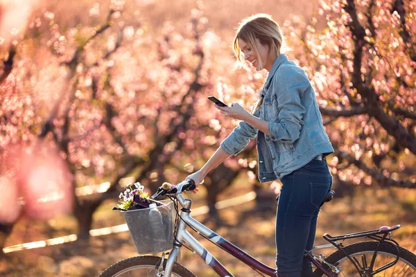 Красивая молодая женщина с винтажным велосипедом, использующая свой мобильный телефон на вишневом поле весной . — стоковое фото
